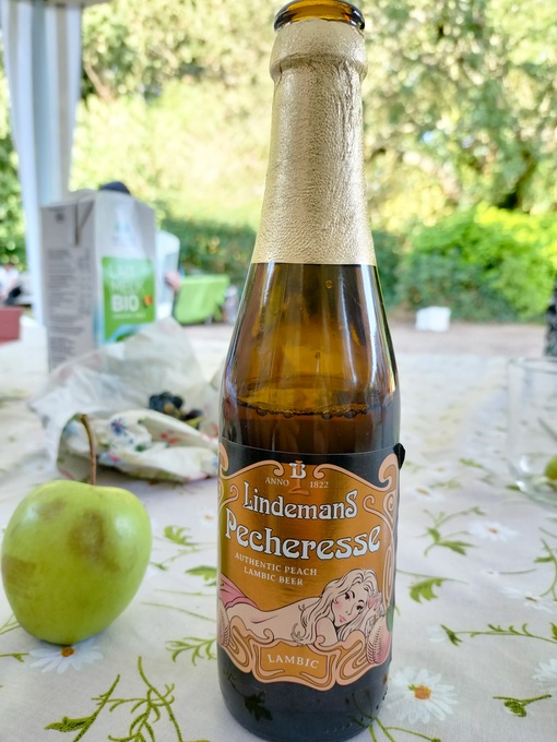 爽太(ｿｳﾀ) ベルギー旅行記⑦