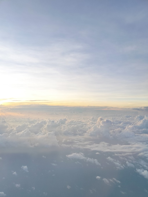 爽太(ｿｳﾀ) ベルギー旅行記⑪